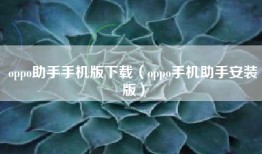 oppo助手手机版下载（oppo手机助手安装版）