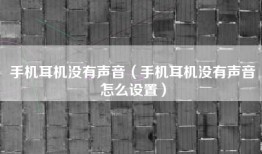 手机耳机没有声音（手机耳机没有声音怎么设置）