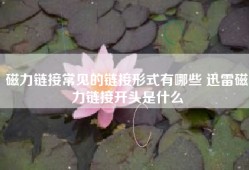 磁力链接常见的链接形式有哪些 迅雷磁力链接开头是什么