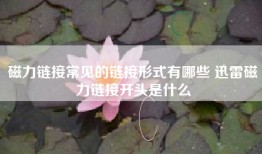 磁力链接常见的链接形式有哪些 迅雷磁力链接开头是什么