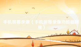 手机屏幕录像（手机屏幕录像功能在哪里）