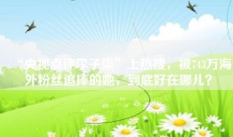 “央视点评李子柒”上热搜，被743万海外粉丝追捧的她，到底好在哪儿？