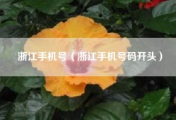 浙江手机号（浙江手机号码开头）