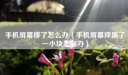 手机屏幕摔了怎么办（手机屏幕摔黑了一小块怎么办）