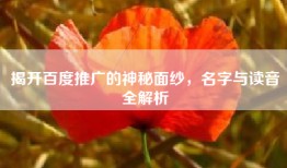 揭开百度推广的神秘面纱，名字与读音全解析