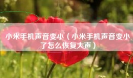 小米手机声音变小（小米手机声音变小了怎么恢复大声）
