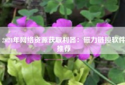 2024年网络资源获取利器：磁力链接软件推荐