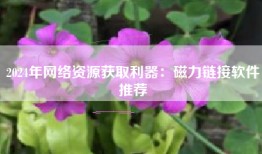 2024年网络资源获取利器：磁力链接软件推荐