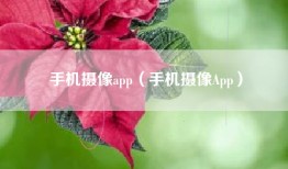 手机摄像app（手机摄像App）