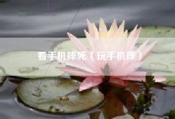 看手机摔死（玩手机摔）
