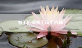看手机摔死（玩手机摔）