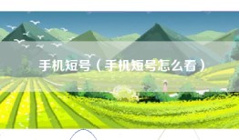 手机短号（手机短号怎么看）