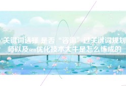 关键词选择 是否“咨询”过关键词规划师以及seo优化技术大牛是怎么练成的