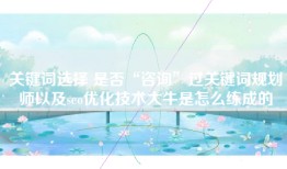 关键词选择 是否“咨询”过关键词规划师以及seo优化技术大牛是怎么练成的