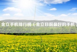 金立手机排行榜（金立目前最好的手机）