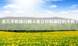 金立手机排行榜（金立目前最好的手机）
