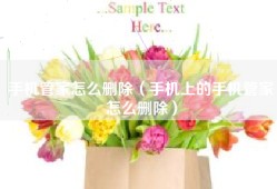 手机管家怎么删除（手机上的手机管家怎么删除）