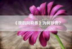 《我的阿勒泰》为何珍贵？