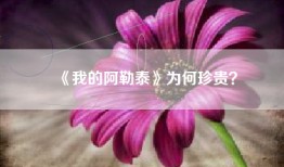 《我的阿勒泰》为何珍贵？