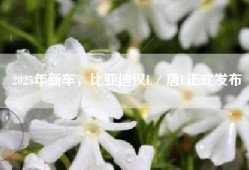 2025年新车，比亚迪汉L／唐L正式发布