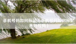 手机号码如何标记(手机号码如何标记未知号码)
