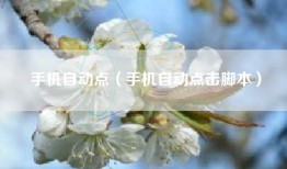 手机自动点（手机自动点击脚本）
