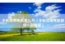 手机突然死机怎么办（手机经常死机教你一招修复）