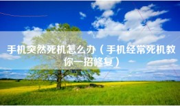 手机突然死机怎么办（手机经常死机教你一招修复）