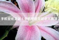 手机壁纸圣诞（手机壁纸圣诞老人高清）