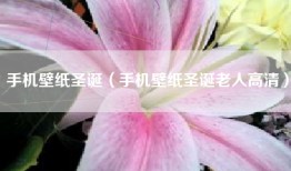 手机壁纸圣诞（手机壁纸圣诞老人高清）