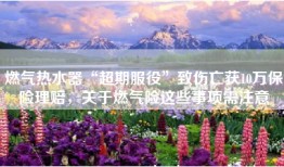 燃气热水器“超期服役”致伤亡获10万保险理赔，关于燃气险这些事项需注意