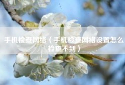 手机检查网络（手机检查网络设置怎么检查不到）