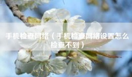 手机检查网络（手机检查网络设置怎么检查不到）