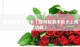 如何取消手机卡（如何取消手机卡上网功能）