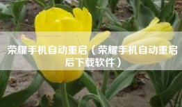 荣耀手机自动重启（荣耀手机自动重启后下载软件）