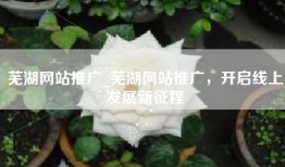 芜湖网站推广_芜湖网站推广，开启线上发展新征程