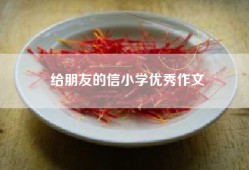 给朋友的信小学优秀作文