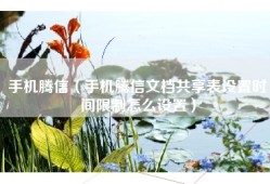 手机腾信（手机腾信文档共享表设置时间限制怎么设置）