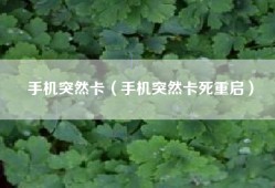 手机突然卡（手机突然卡死重启）