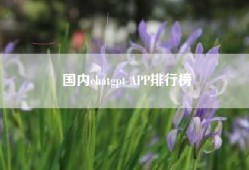 国内chatgpt APP排行榜