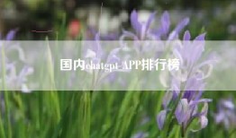 国内chatgpt APP排行榜