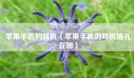 苹果手机的耳机（苹果手机的耳机插孔在哪）