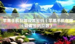 苹果手机在哪设置密码（苹果手机在哪设置密码位数）