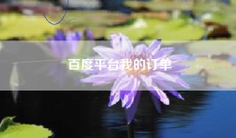 百度平台我的订单