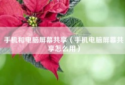 手机和电脑屏幕共享（手机电脑屏幕共享怎么用）