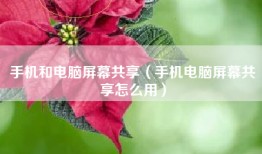 手机和电脑屏幕共享（手机电脑屏幕共享怎么用）