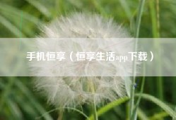 手机恒享（恒享生活app下载）