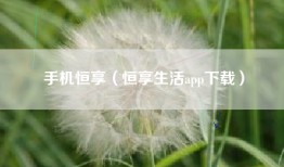 手机恒享（恒享生活app下载）