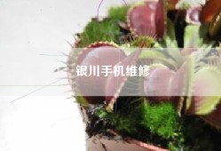 银川手机维修