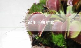 银川手机维修